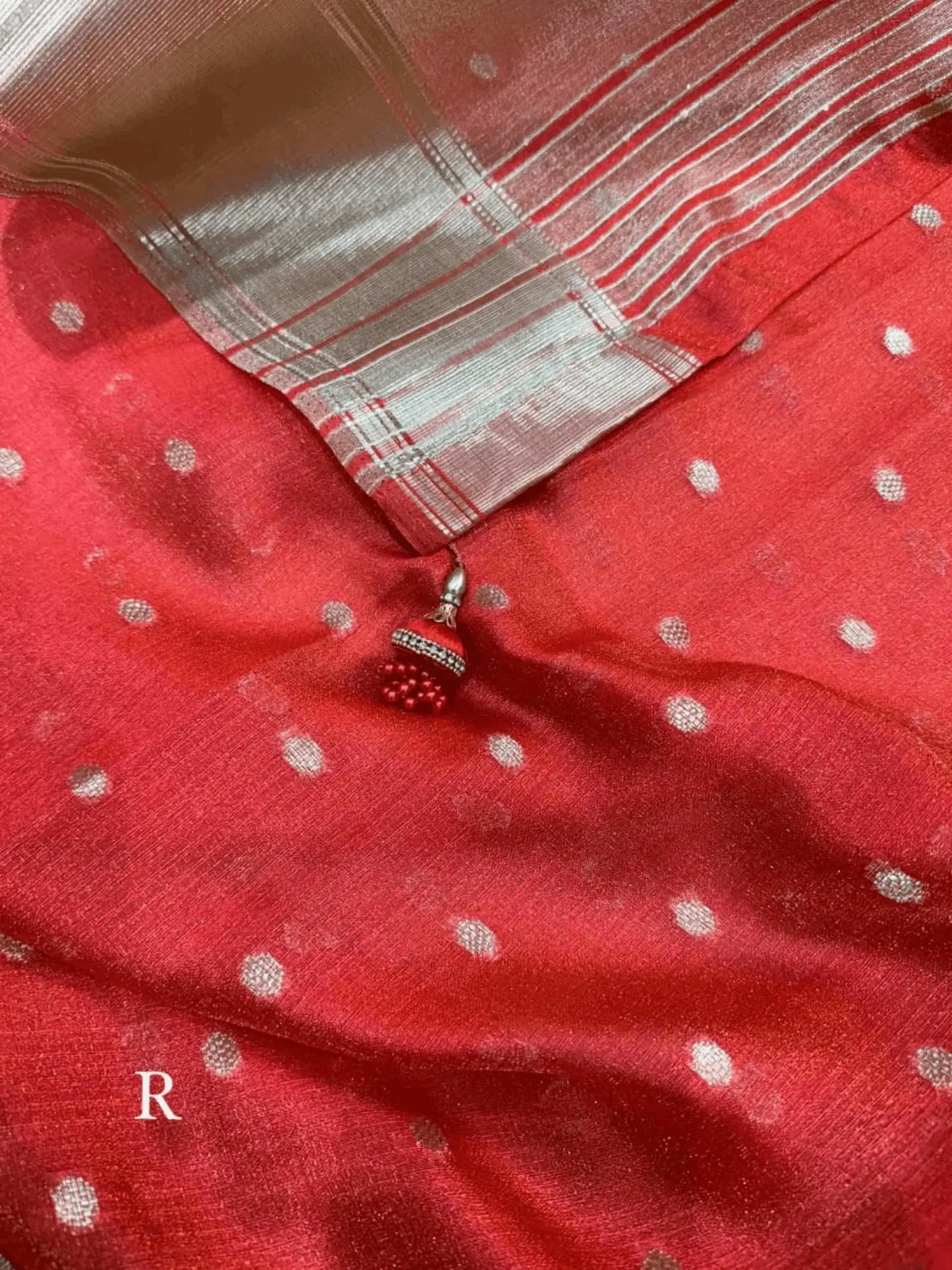 Surili Banarasi Organza Saree