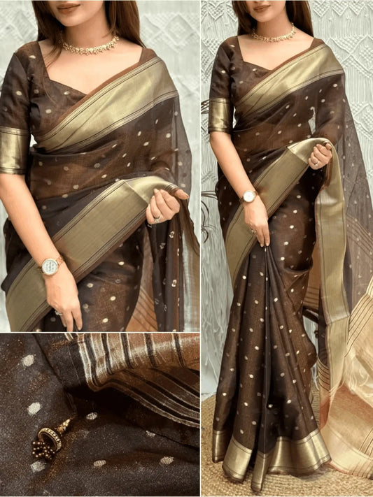 Surili Banarasi Organza Saree