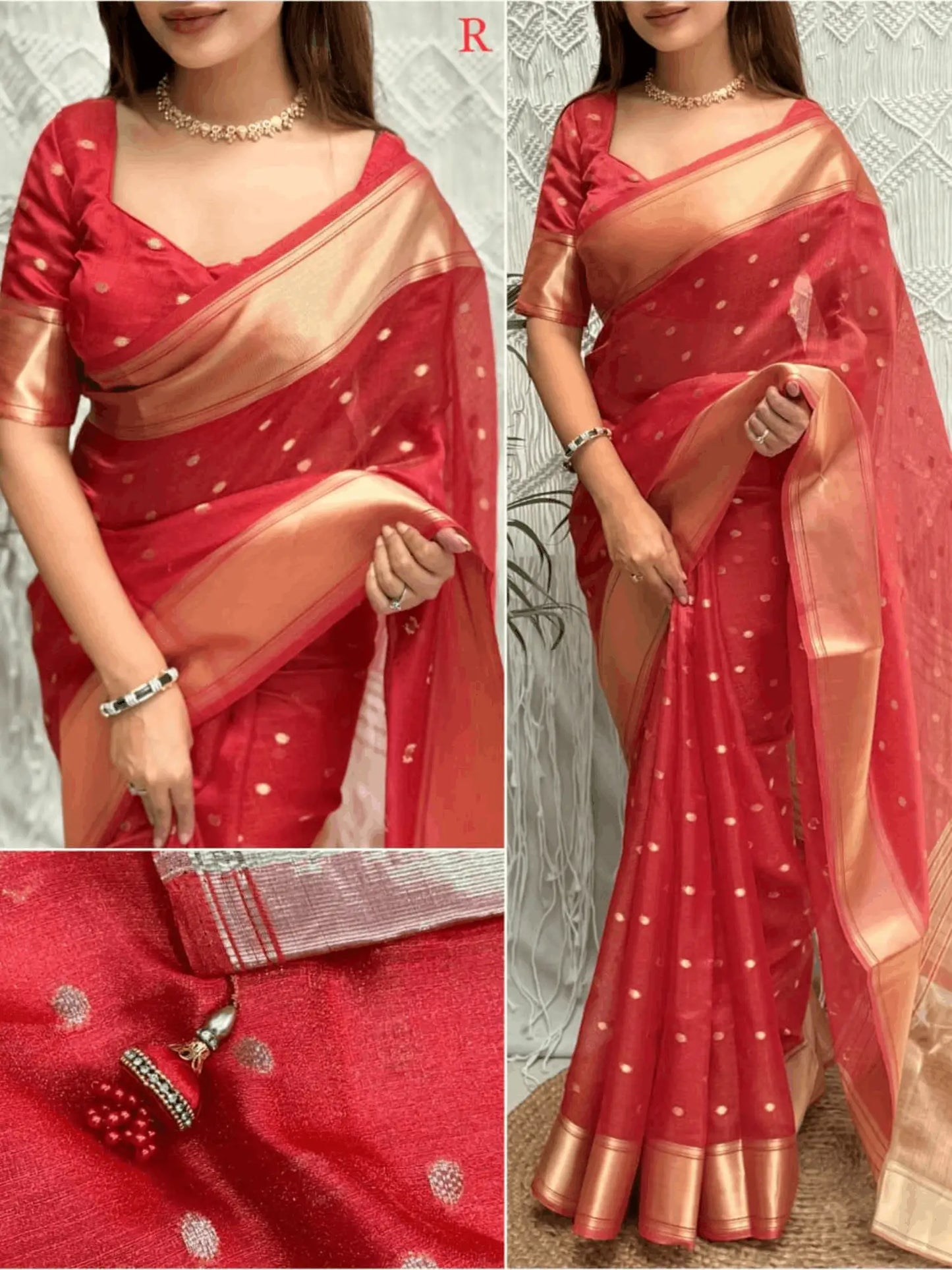 Surili Banarasi Organza Saree